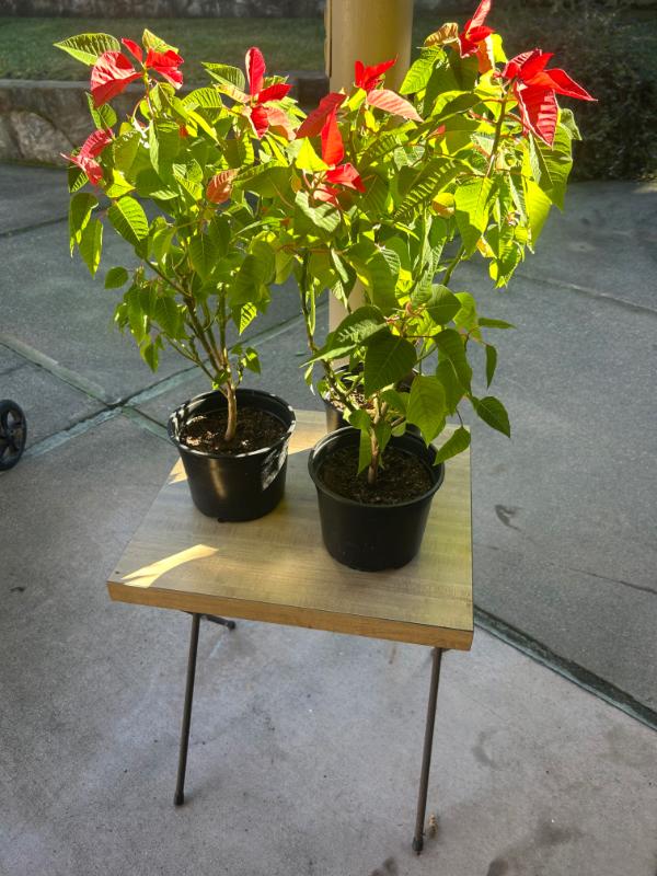 Sale Photo Thumbnail #141