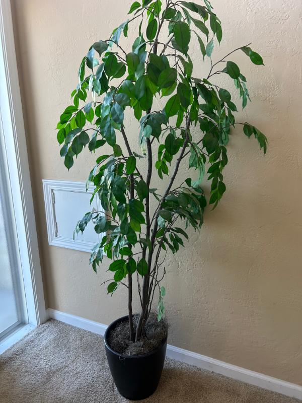 Sale Photo Thumbnail #138