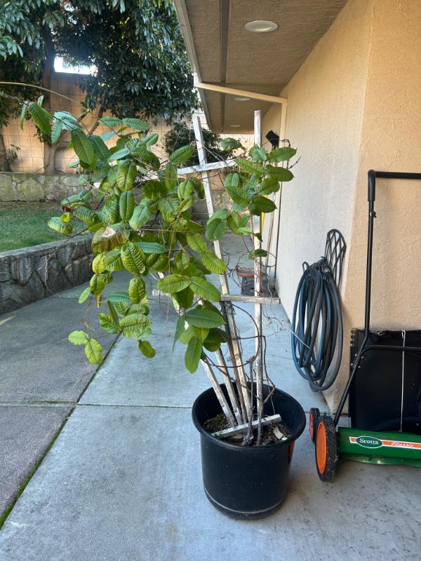 Sale Photo Thumbnail #144