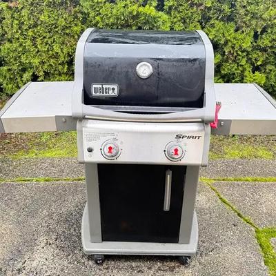 Weber spirit grill
