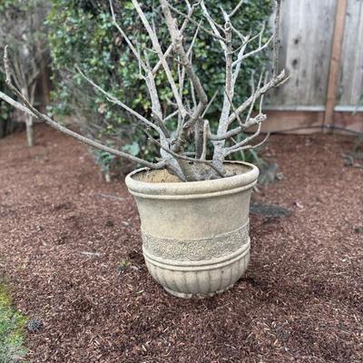 Sale Photo Thumbnail #28