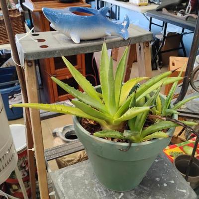 Sale Photo Thumbnail #175