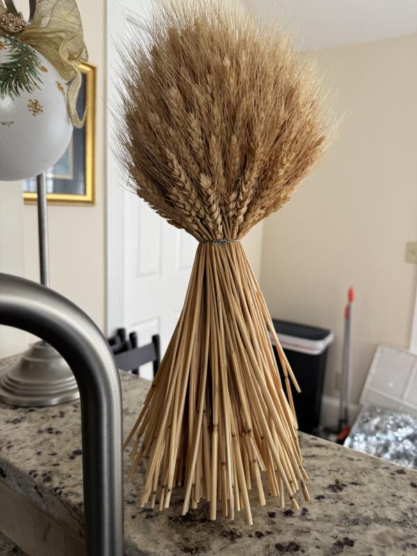 Sale Photo Thumbnail #46