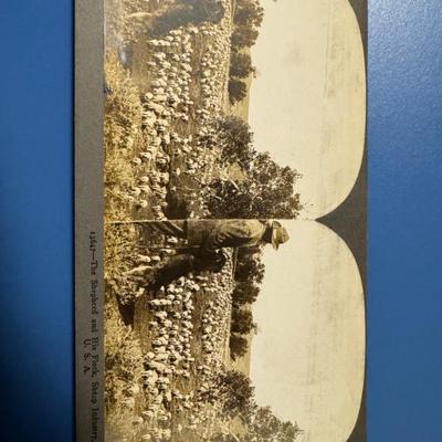 Sale Photo Thumbnail #235