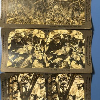 Sale Photo Thumbnail #230