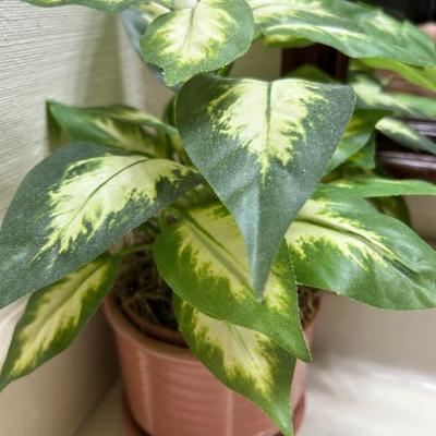 Sale Photo Thumbnail #329