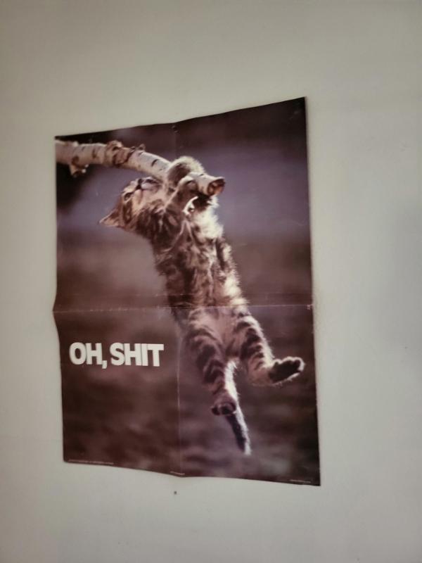 Sale Photo Thumbnail #173