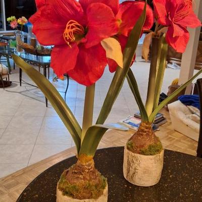 Sale Photo Thumbnail #39