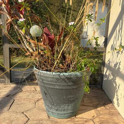 Large Decorative Patio Planter with Mixed Live Plants and Solar Garden Light