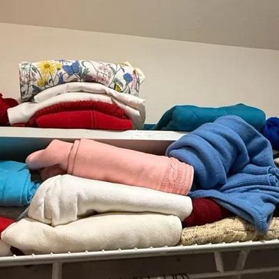 Women’s Sweater and Knitwear Closet Shelf Lot