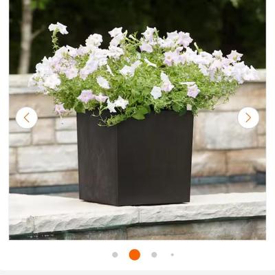 Sale Photo Thumbnail #192