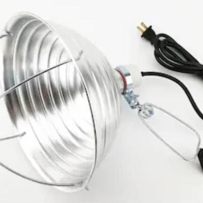 Sale Photo Thumbnail #371