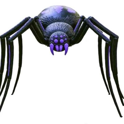 Sale Photo Thumbnail #9