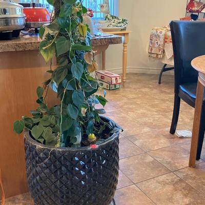 Sale Photo Thumbnail #54