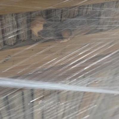 Sale Photo Thumbnail #113