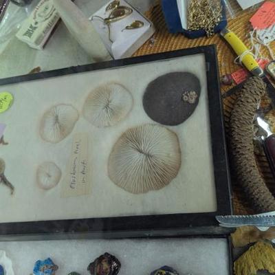 Sale Photo Thumbnail #247