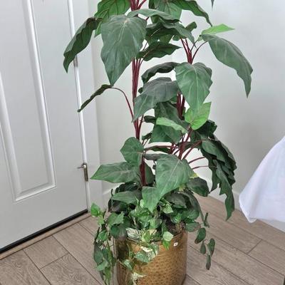 Sale Photo Thumbnail #42