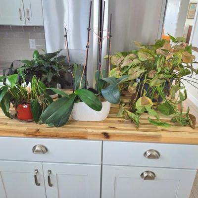 Sale Photo Thumbnail #13