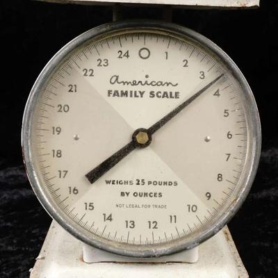 Vintage American Family 25 lb Kitchen Scale - All Original White Farmhouse Decor