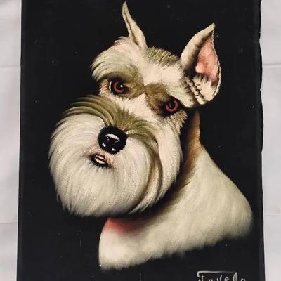 Vintage Velvet Painting - Schnauzer Dog Portrait - Signed "Favela"
