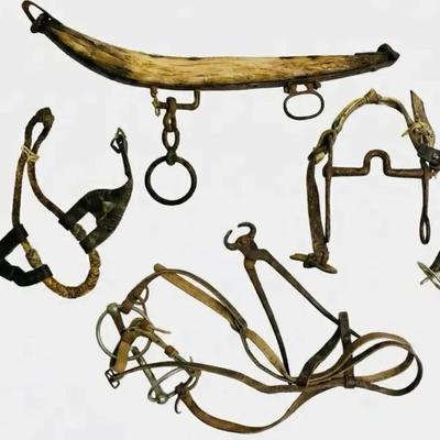 Antique Collectible Horse Tac, Tools and Accessories 