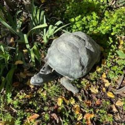 Sale Photo Thumbnail #107