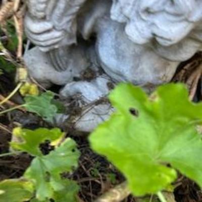 Sale Photo Thumbnail #112