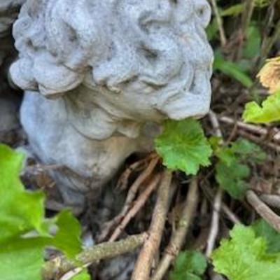 Sale Photo Thumbnail #113