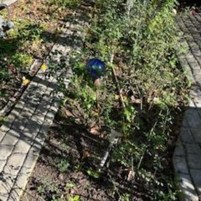 Sale Photo Thumbnail #109