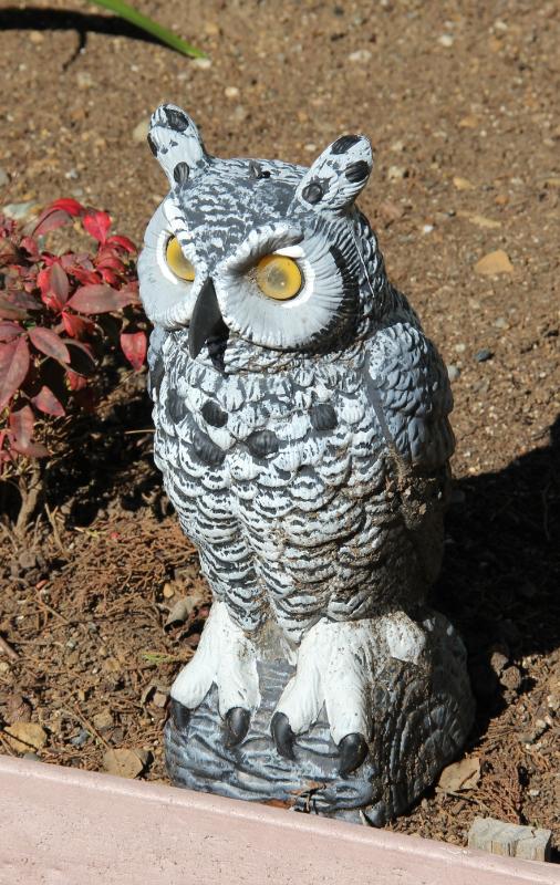 Sale Photo Thumbnail #86