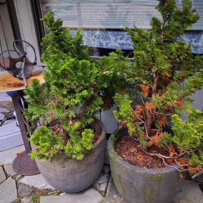 Sale Photo Thumbnail #192