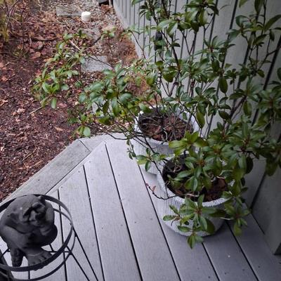 Sale Photo Thumbnail #196