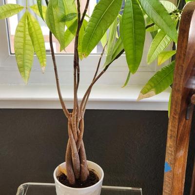 Sale Photo Thumbnail #136