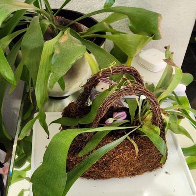 Sale Photo Thumbnail #131