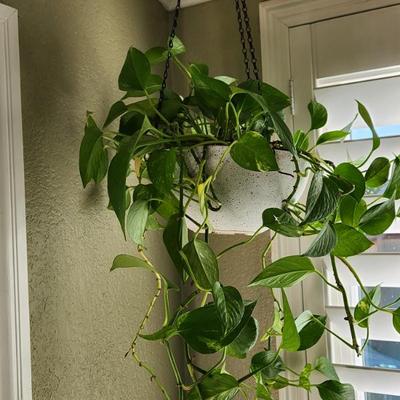 Sale Photo Thumbnail #25