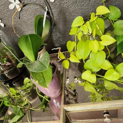 Sale Photo Thumbnail #141