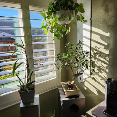 Sale Photo Thumbnail #29