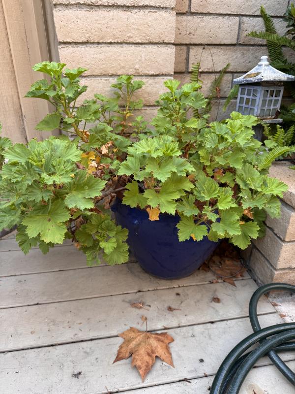 Sale Photo Thumbnail #105