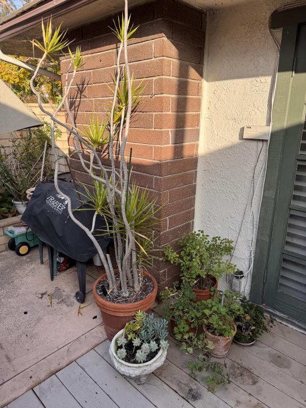 Sale Photo Thumbnail #106