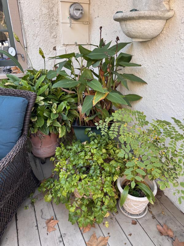 Sale Photo Thumbnail #111