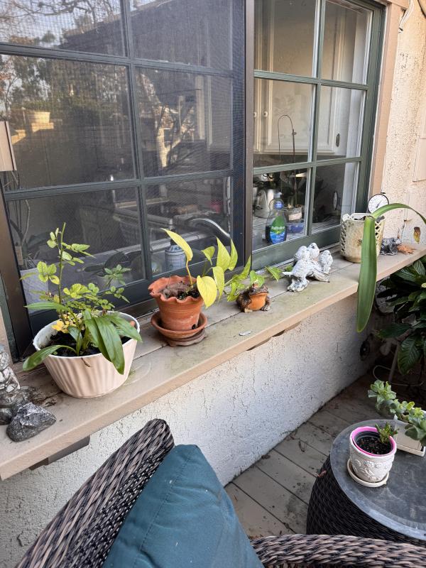 Sale Photo Thumbnail #109