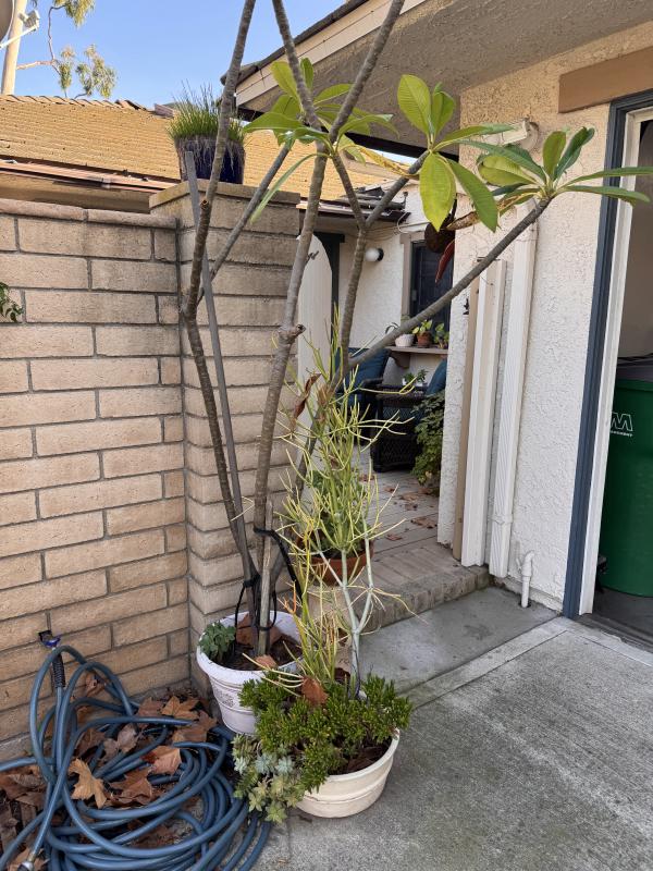 Sale Photo Thumbnail #113