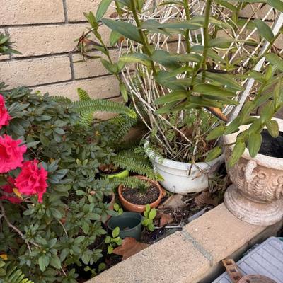 Sale Photo Thumbnail #103