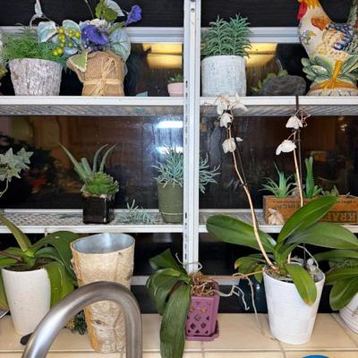 Sale Photo Thumbnail #162