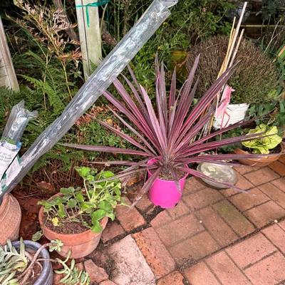 Sale Photo Thumbnail #66