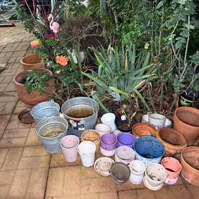 Sale Photo Thumbnail #63