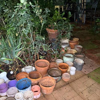 Sale Photo Thumbnail #62