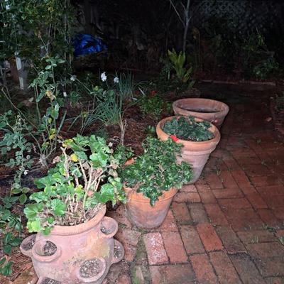 Sale Photo Thumbnail #50