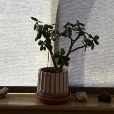 Sale Photo Thumbnail #45