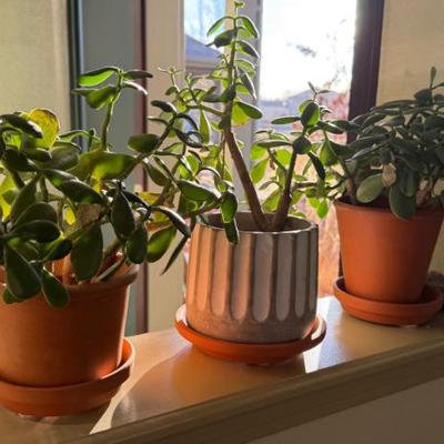 Sale Photo Thumbnail #58